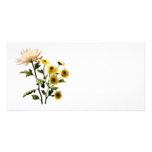 Mums Medley Photo Card
