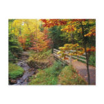 Munising Falls Trail, Alger County, Michigan Postcard