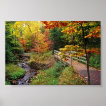 Munising Falls Trail, Alger County, Michigan