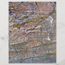 Mur de montagne avec des champignons et des lichen prospectus en couleur