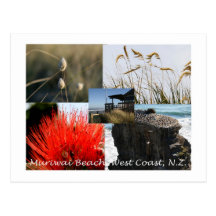 Muriwai Beach Post Card