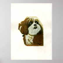 Murphy 1 Dog Birmingham MI 2003 The MUSEUM Zazzle Posters