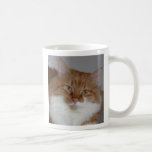 Murray Cat Mug