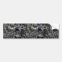 Murre Colony Bumper Stickers