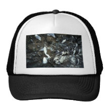 Murres and Kittiwakes Trucker Hats