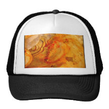 Muschel Hat