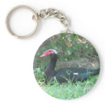 Muscovy Duck Keychain