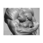 Muscular Chest Postcard