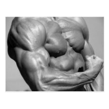 Muscular Chest Postcard