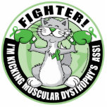 Muscular Dystrophy Boxing Cat Fighter photo sculptures