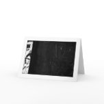 Muse Cards