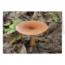 Mushroom9 Greeting Cards
