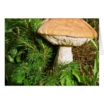 Mushroom Card