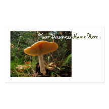 Mushroom Giant Business Card