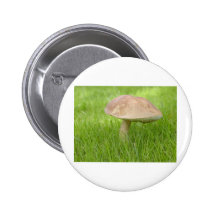 Mushroom Meadow Field Pins