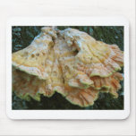 mushroom mouse pad