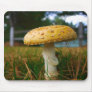 Mushroom-Mousepad