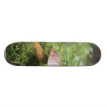 Mushroom On Moss Skate Decks