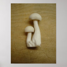 mushroom poster