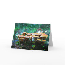 mushroom village
