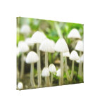 Mushroom World Gallery Wrap Canvas