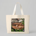 Mushrooms bags
