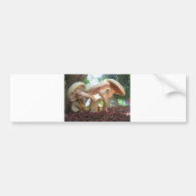 Mushrooms Dancing Bumper Stickers