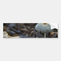 Mushrooms Dirt Leaves Bumper Sticker