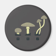 Mushrooms (food, poison, high) fridge magnet
