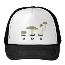 Mushrooms (food, poison, high) mesh hats