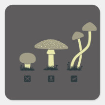 Mushrooms (food, poison, high) square stickers