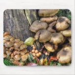 mushrooms muis matten