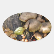 mushrooms ovaalvormige sticker