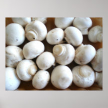 Mushrooms Poster