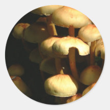 Mushrooms Sticker