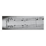 Music Notes Bookmark Business Card Template