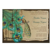 Musical Peacock Bird Cage Feather Burnt Parchment Announcements
