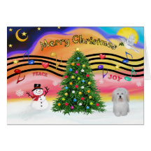Musique 2 de Noël - coton De Tulear Cartes De Vœux