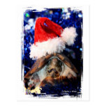Musk turtle mouth open santa hat christmas  pic post cards