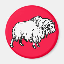Muskox Fridge Magnet
