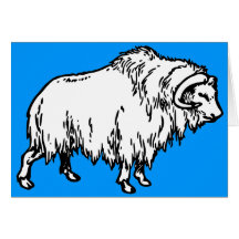 Muskox Greeting Cards