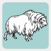 Muskox Square Sticker