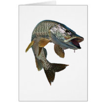 Musky 4 cards