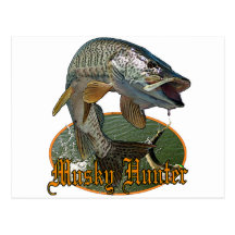 Musky Hunter 9 Postcard