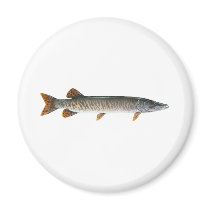 Musky - Muskellunge Fridge Magnet
