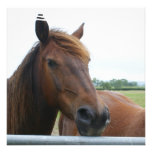 Mustang at Fence Invitation