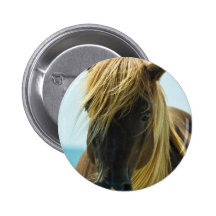 Mustang Button