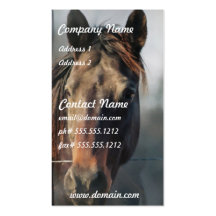 Mustang Horse Business Card