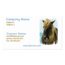 Mustang Horse Business Card