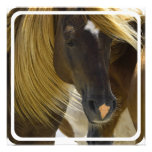 Mustang Horse Invitation